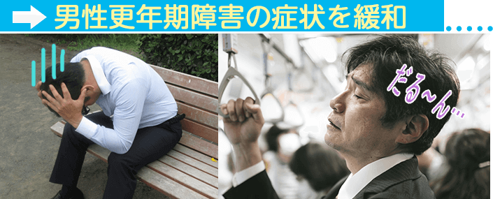 プラセンタサプリ効果その3〜男性更年期障害(LOH症候群)の症状を緩和