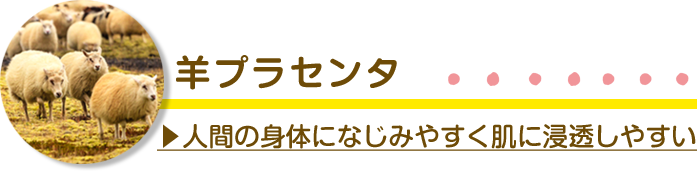 羊プラセンタ
