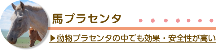 馬プラセンタ