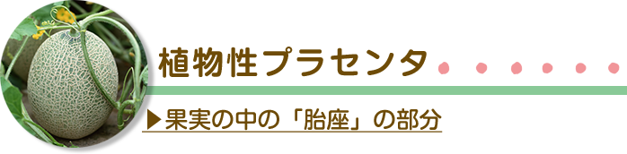植物性プラセンタ